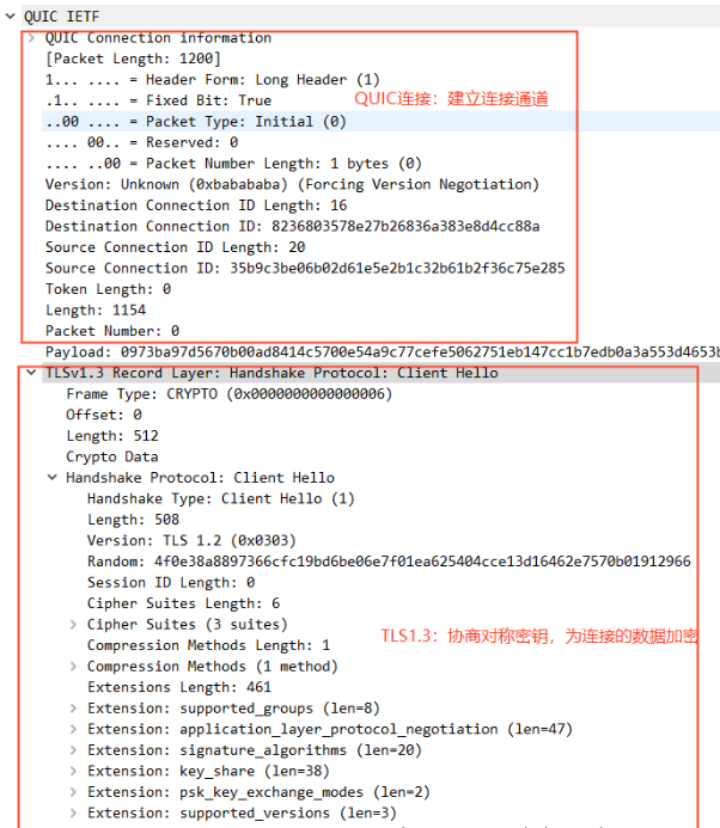 图 3-QUIC 建连抓包